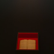 DSCF0912.JPG