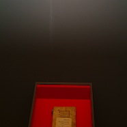 DSCF0915.JPG