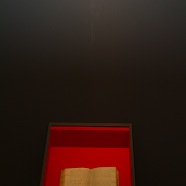 DSCF0916.JPG
