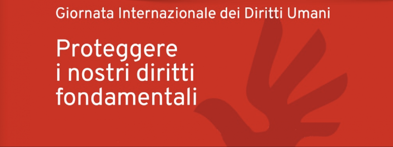 Proteggere i nostri diritti fondamentali. Quali possibilità per il Cantone Ticino?