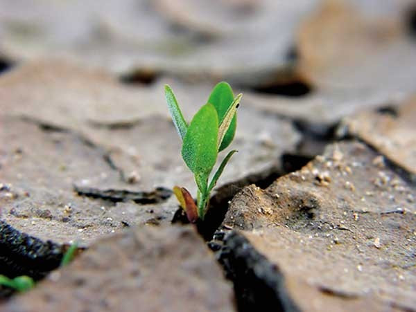 Storia dell&#039;Ambiente: Materiali didattici